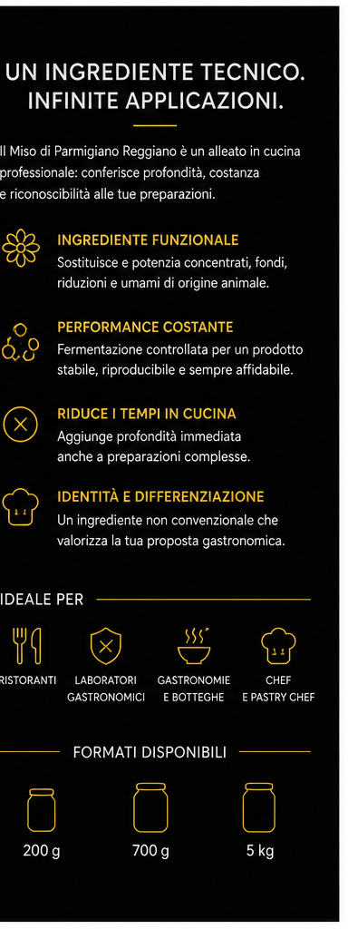 MISO DI PARMIGIANO REGGIANO – 100 g